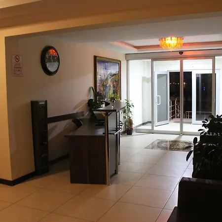 阿克珀纳尔酒店 酒店 Altintas